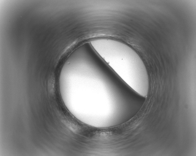 X0000066540304200603171102