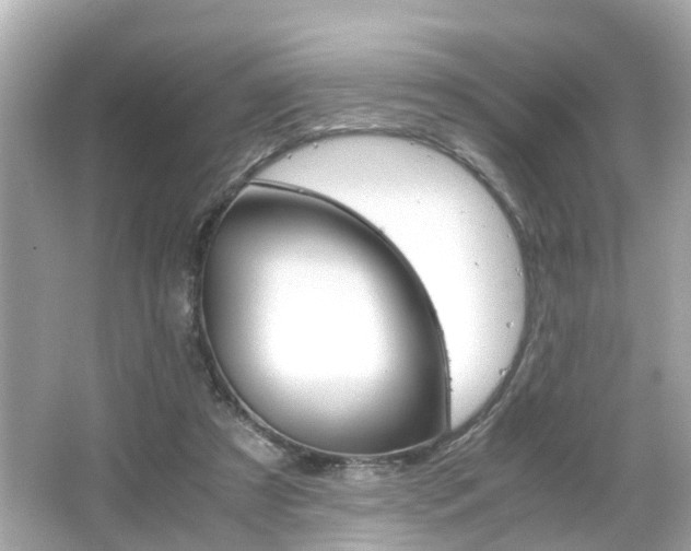 X0000066540305200603171102