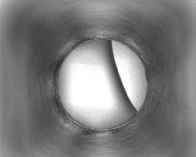 X0000066540306200603171102