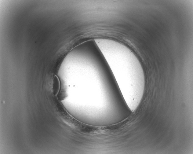 X0000066540307200603171102