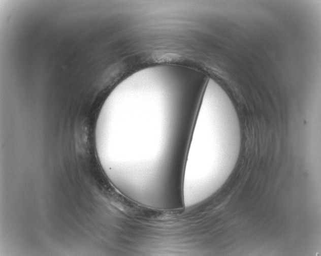 X0000066540308200603171102