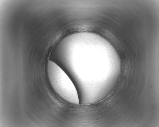 X0000066540310200603171102