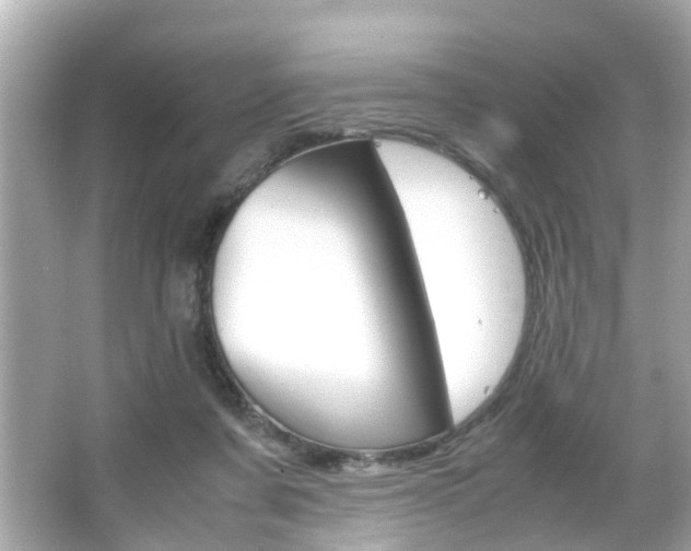 X0000066540311200603171102