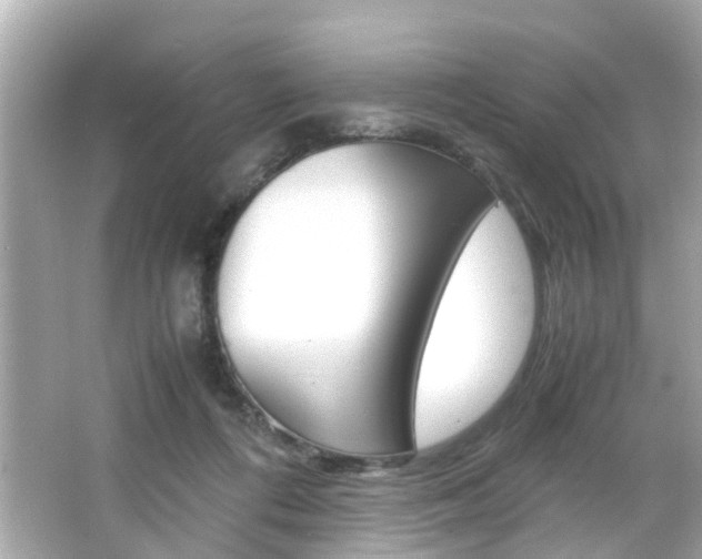 X0000066540312200603171102