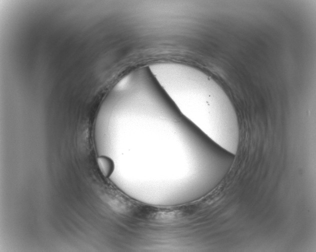 X0000066540314200603171102