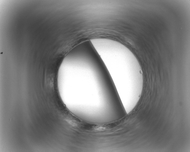 X0000066540315200603171102