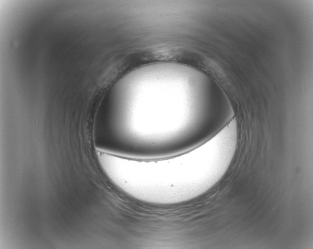 X0000066540317200603171102