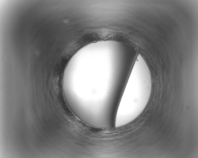 X0000066540319200603171102