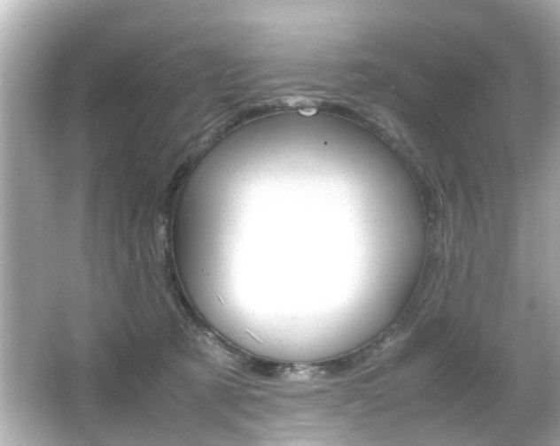 X0000066540321200603171102