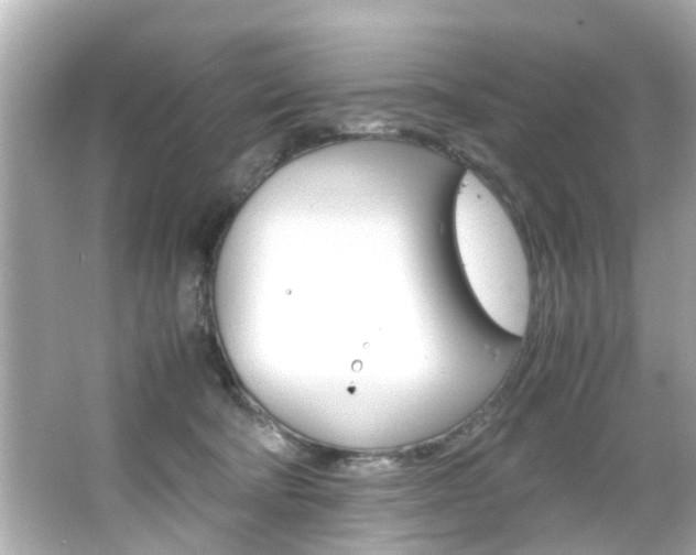 X0000066540322200603171102