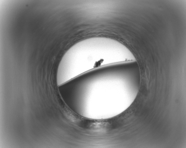 X0000066540323200603171102