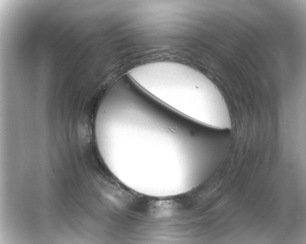 X0000066540324200603171102