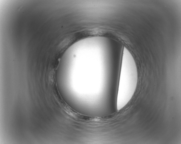 X0000066540325200603171102