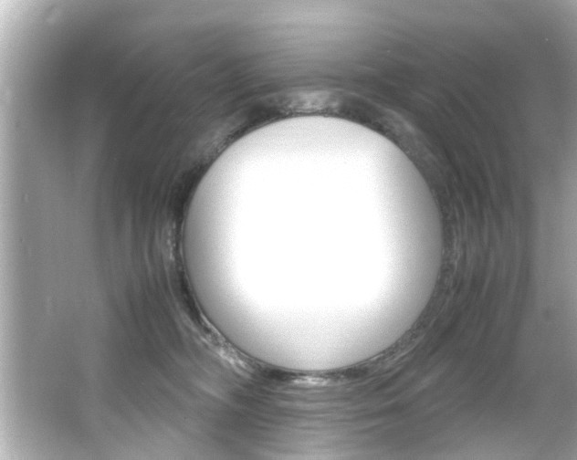 X0000066540326200603171102