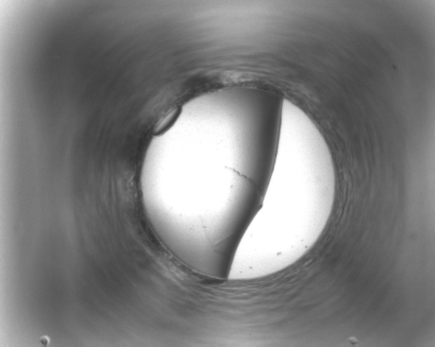 X0000066540327200603171102