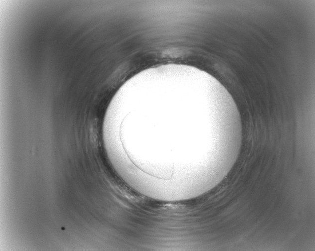 X0000066540328200603171102