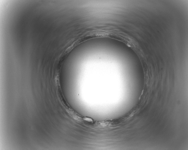 X0000066540329200603171102