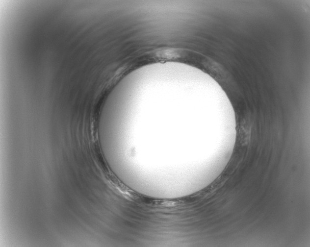 X0000066540330200603171102