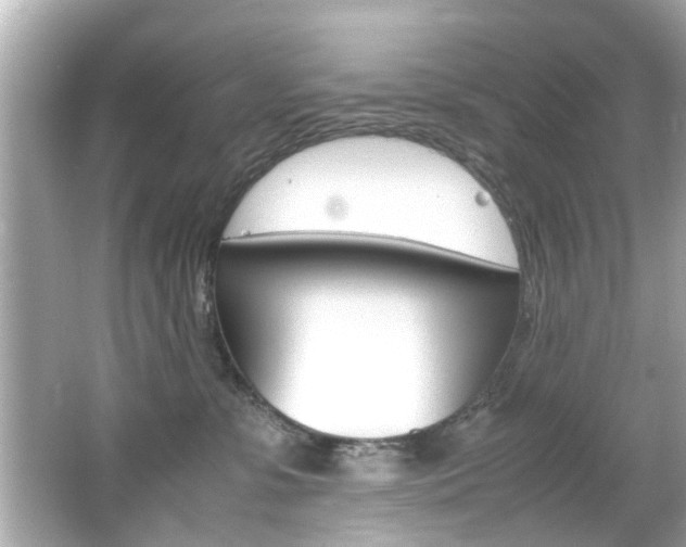 X0000066540331200603171102