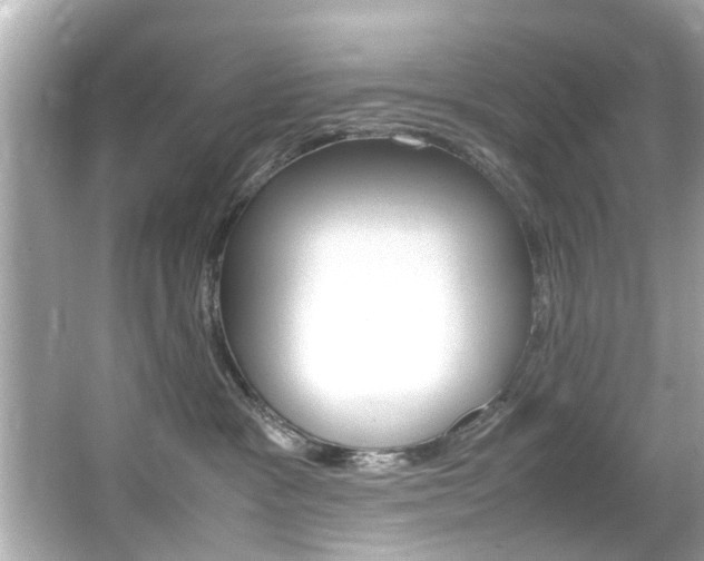 X0000066540333200603171102