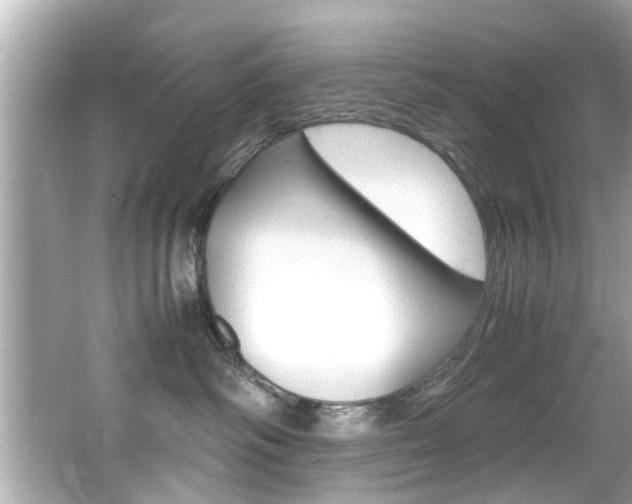 X0000066540334200603171102