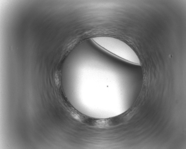 X0000066540335200603171102