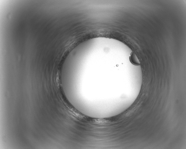 X0000066540336200603171102