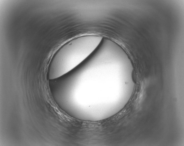 X0000066540337200603171101