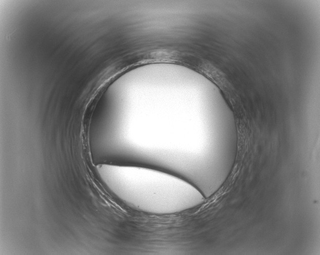 X0000066540338200603171101