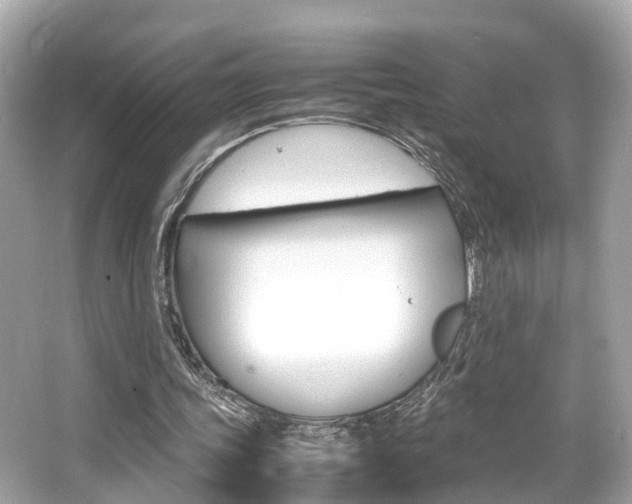 X0000066540339200603171101