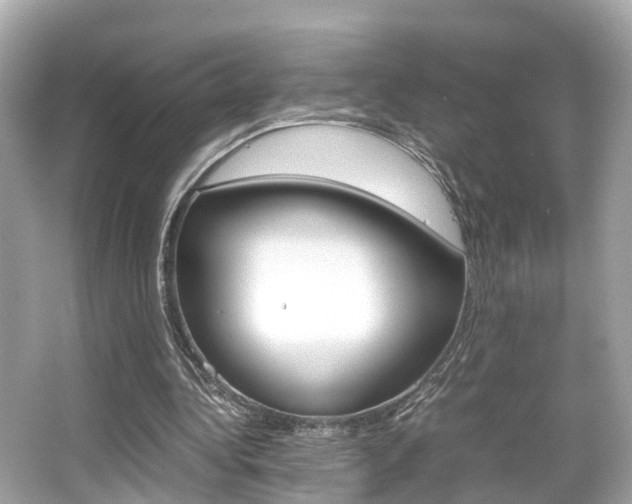 X0000066540340200603171101