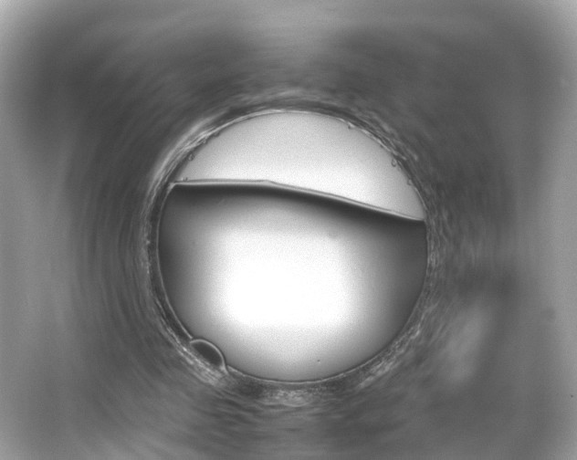 X0000066540341200603171101