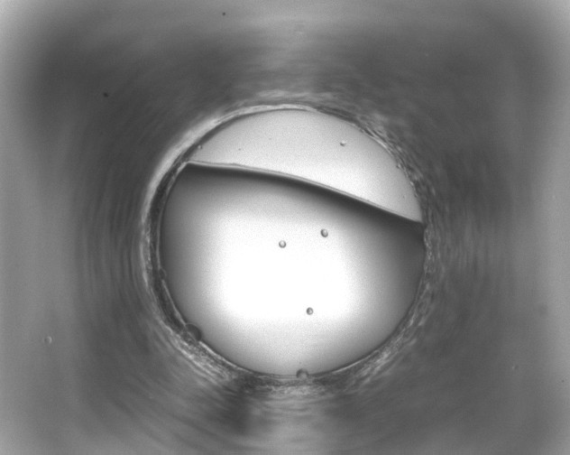 X0000066540342200603171101