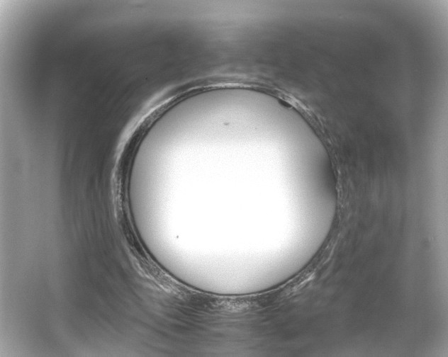 X0000066540343200603171101