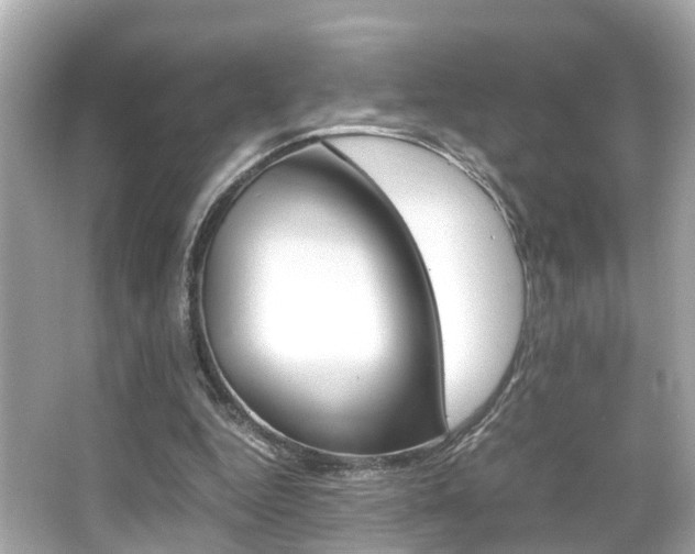 X0000066540344200603171101