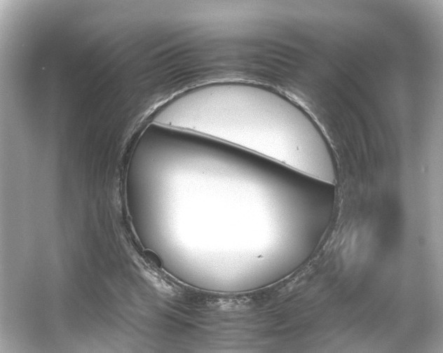 X0000066540345200603171101