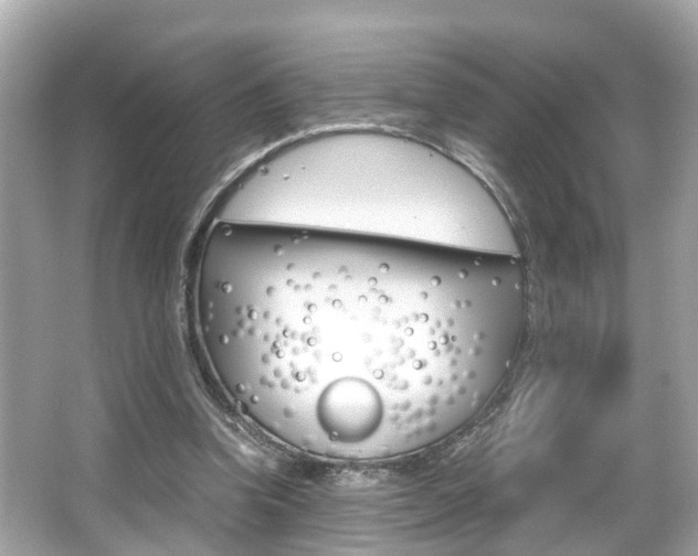 X0000066540346200603171101