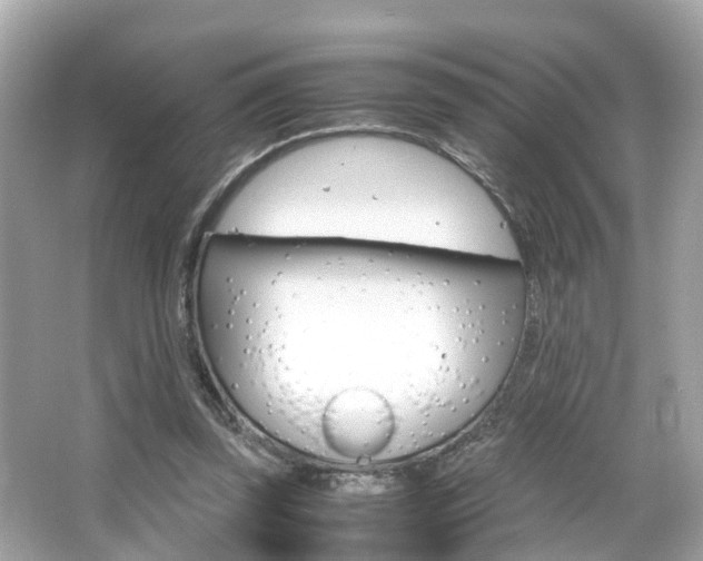 X0000066540347200603171101