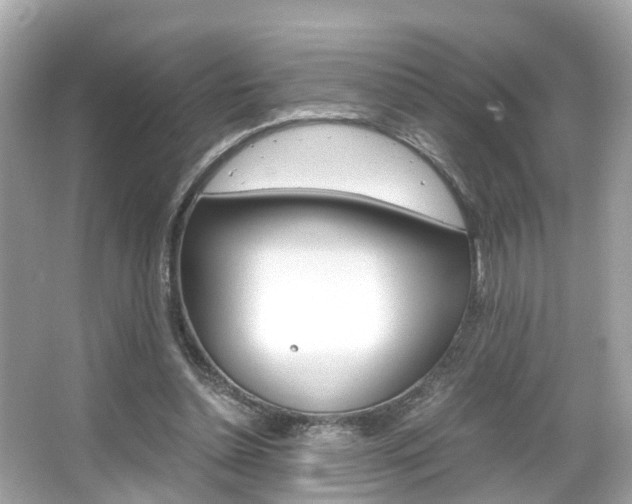 X0000066540348200603171101