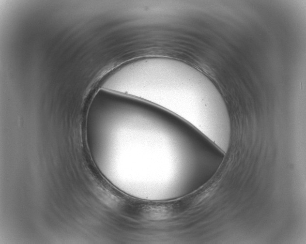 X0000066540349200603171101