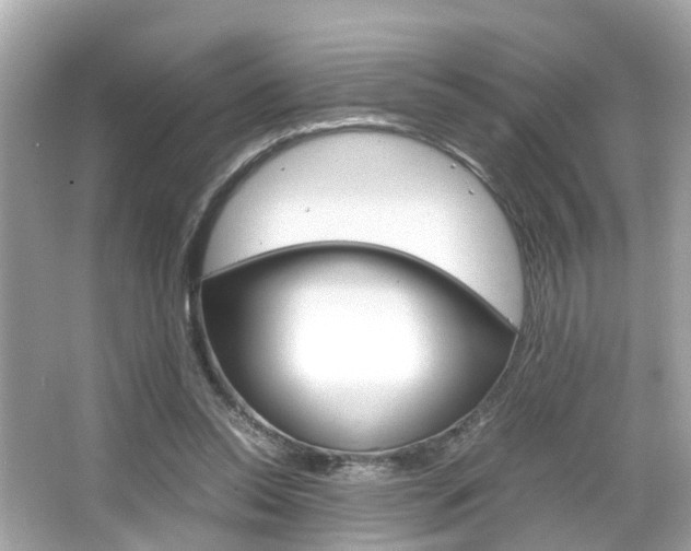 X0000066540350200603171101