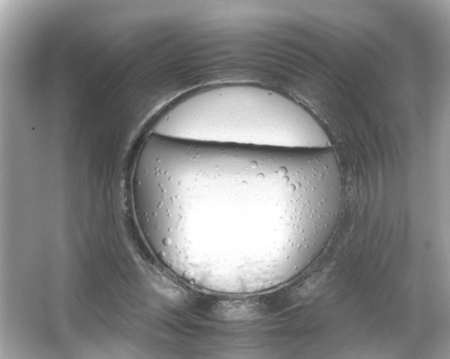 X0000066540351200603171101