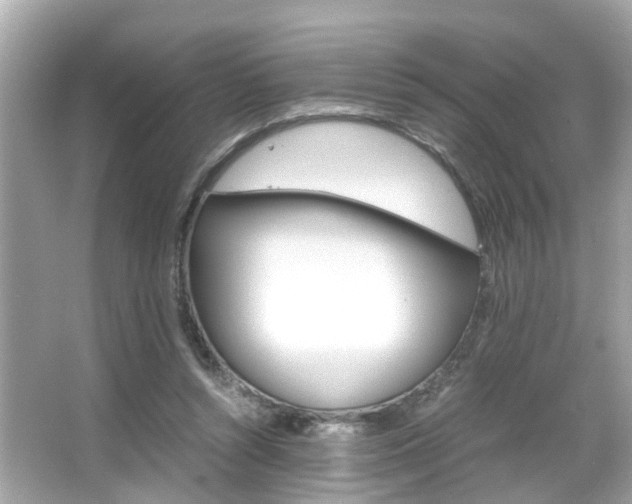 X0000066540352200603171101