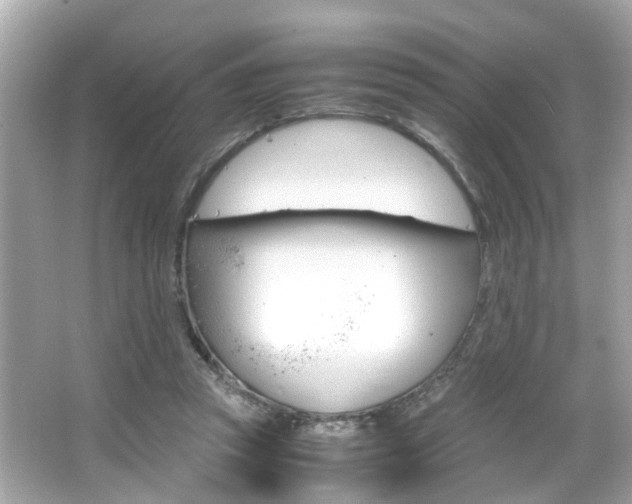 X0000066540353200603171101