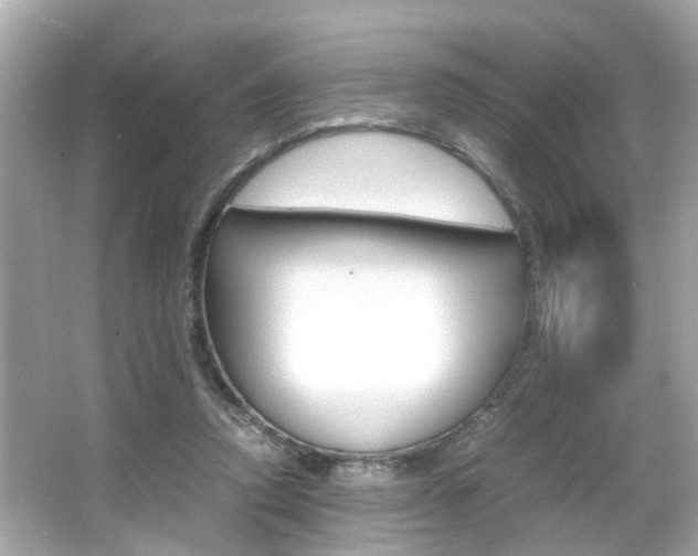 X0000066540354200603171101