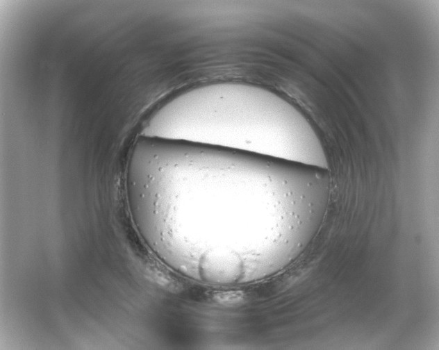 X0000066540355200603171101