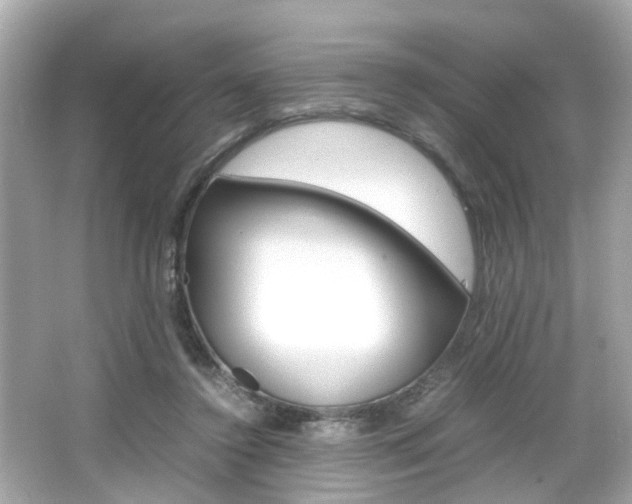 X0000066540356200603171101