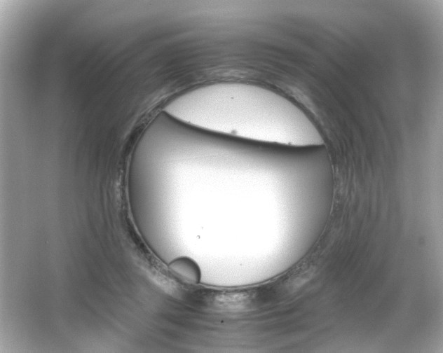 X0000066540357200603171101