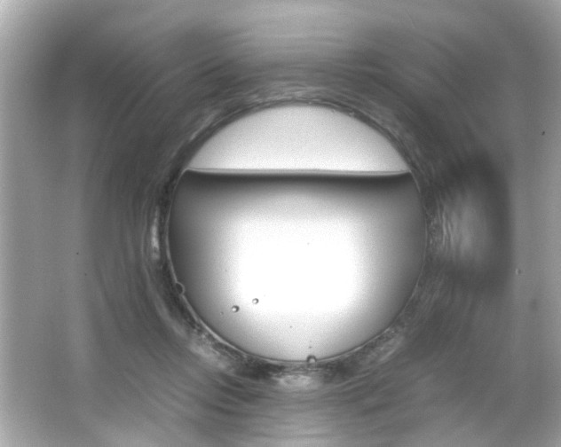 X0000066540358200603171101