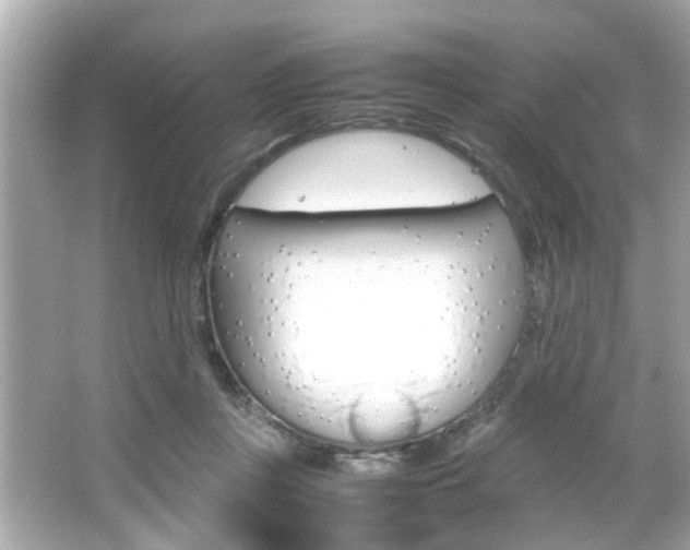 X0000066540359200603171101